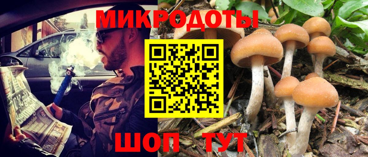 Галлюциногенные грибы Magic Shrooms Майкоп